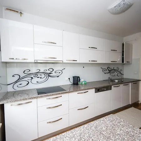 Apartment Spacious & Modern In The Centre
